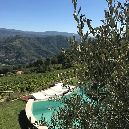 Altavia-travigne Dolceacqua