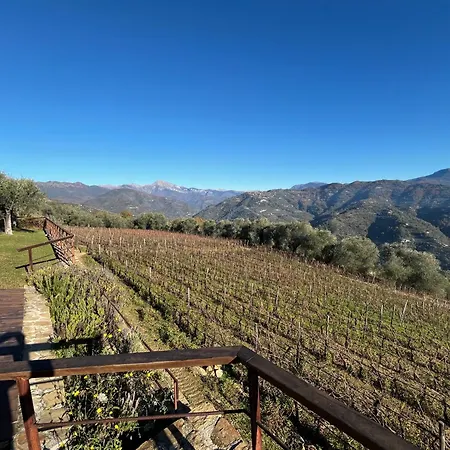 Altavia-travigne * Dolceacqua