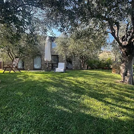 Villa Altavia-travigne