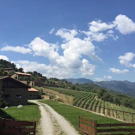 Altavia-travigne Villa