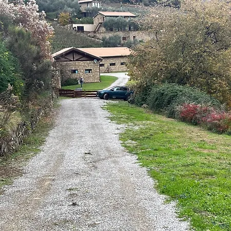 Villa Altavia-travigne