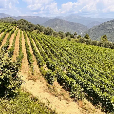 Altavia-travigne * Dolceacqua